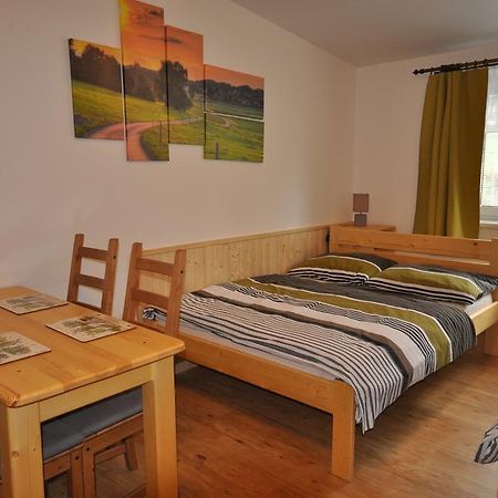 Studio Apartments Lipno 22, 24 Липно над Вълтава Стая снимка