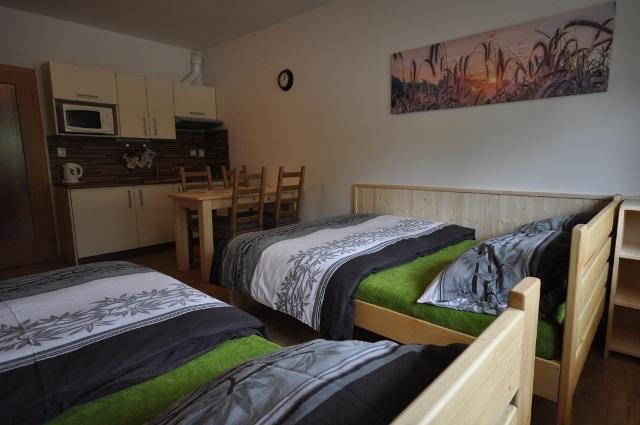 Studio Apartments Lipno 22, 24 Липно над Вълтава Стая снимка