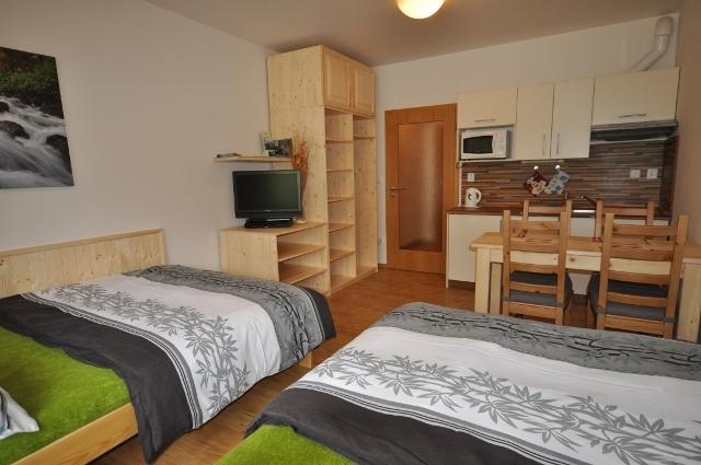 Studio Apartments Lipno 22, 24 Липно над Вълтава Стая снимка