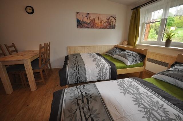 Studio Apartments Lipno 22, 24 Липно над Вълтава Стая снимка