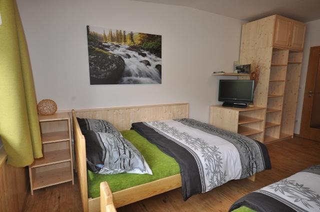 Studio Apartments Lipno 22, 24 Липно над Вълтава Стая снимка