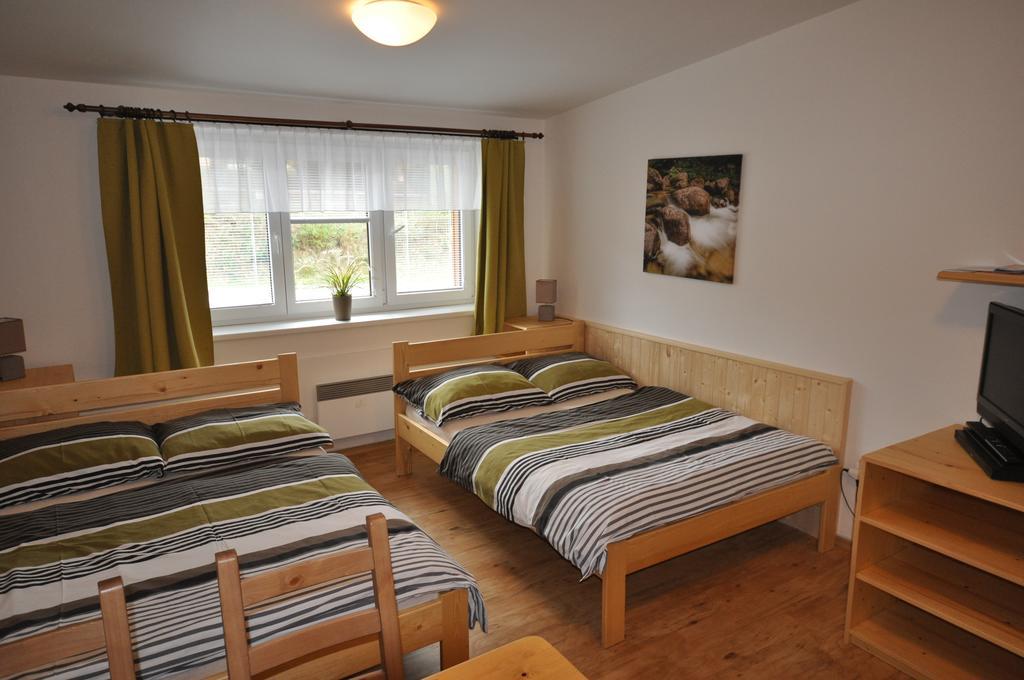 Studio Apartments Lipno 22, 24 Липно над Вълтава Стая снимка