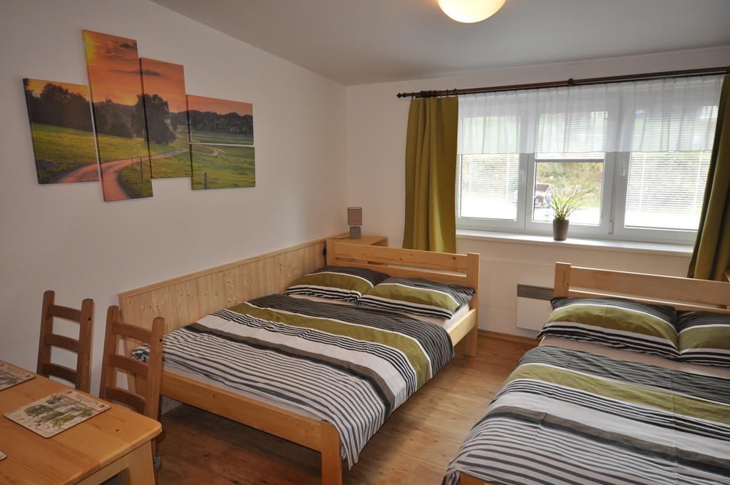 Studio Apartments Lipno 22, 24 Липно над Вълтава Стая снимка